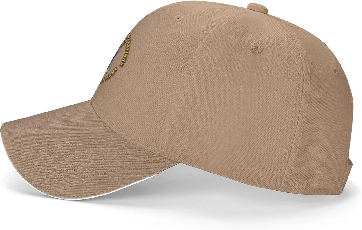 160th Special Operations Aviation Regiment Men and Women Adjustable Baseball Cap