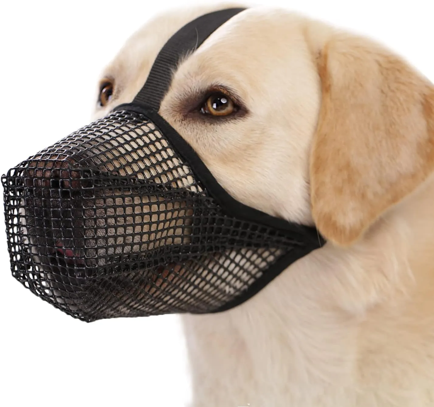 Crazy Felix Dog Muzzle, Soft Mesh Muzzle for Small Medium Large Dogs Labrador German Shepherd, Breathable Adjustable Mouth Guard for Biting Chewing Scavenging, Allows Panting and Drinking(Balck, L)