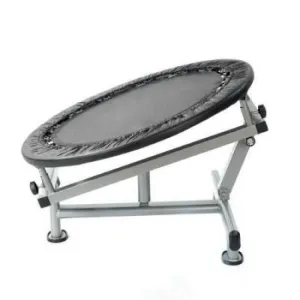 Medicine Ball Rebounder