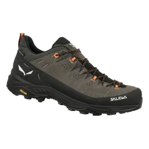Men's Alp Trainer 2 Gore-Tex Shoe