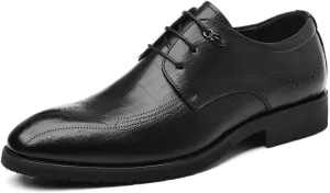 Mens Leather Dress Shoes Modern Classic Lace-up Oxfords Shoes for Men Casual Business Wedding Derby Shoes