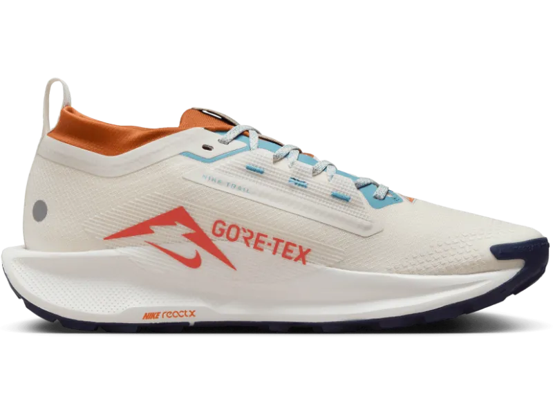 Men's Nike Pegasus Trail 5 GORE-TEX -Trail Runner
