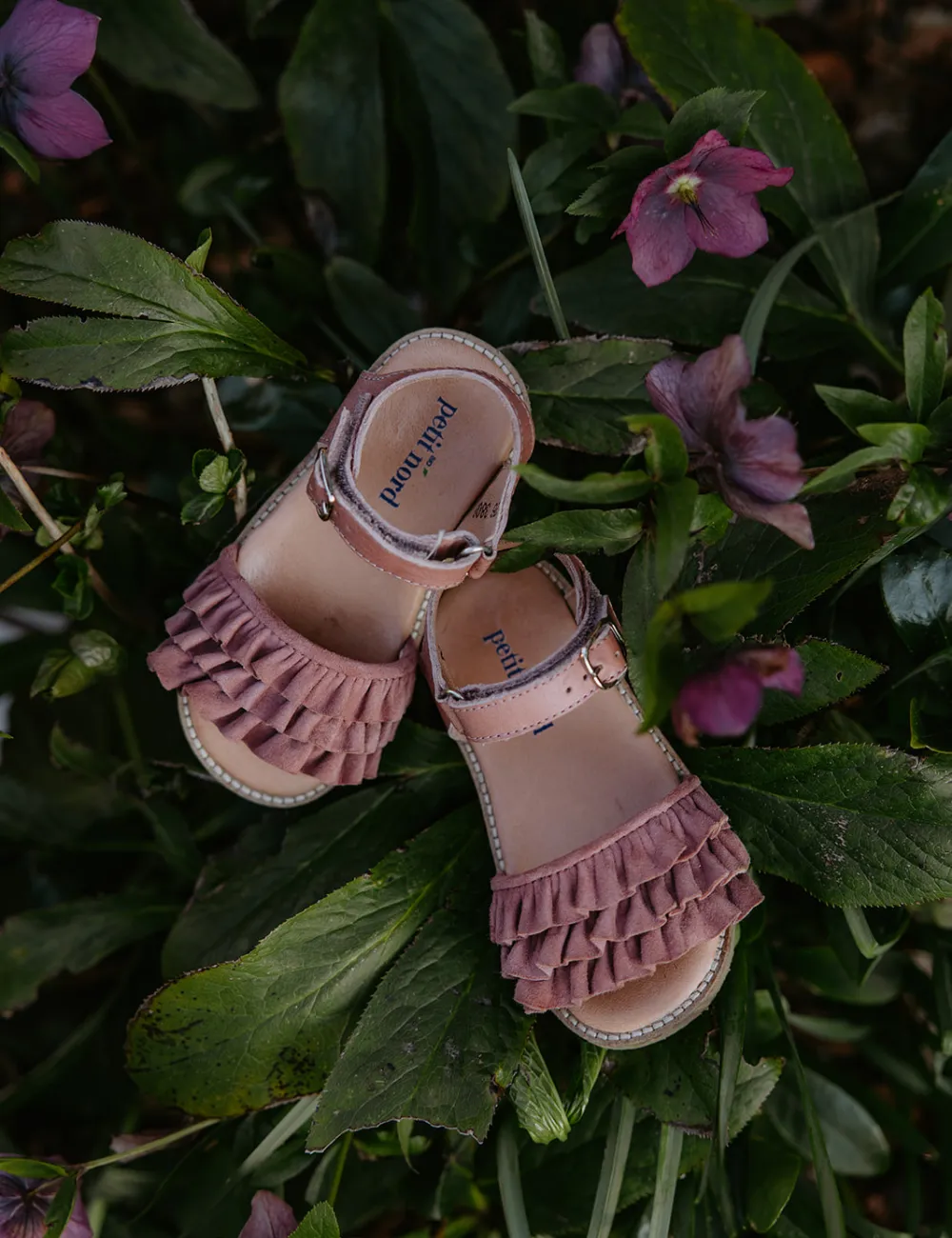 Ruffles Sandal - Old rose