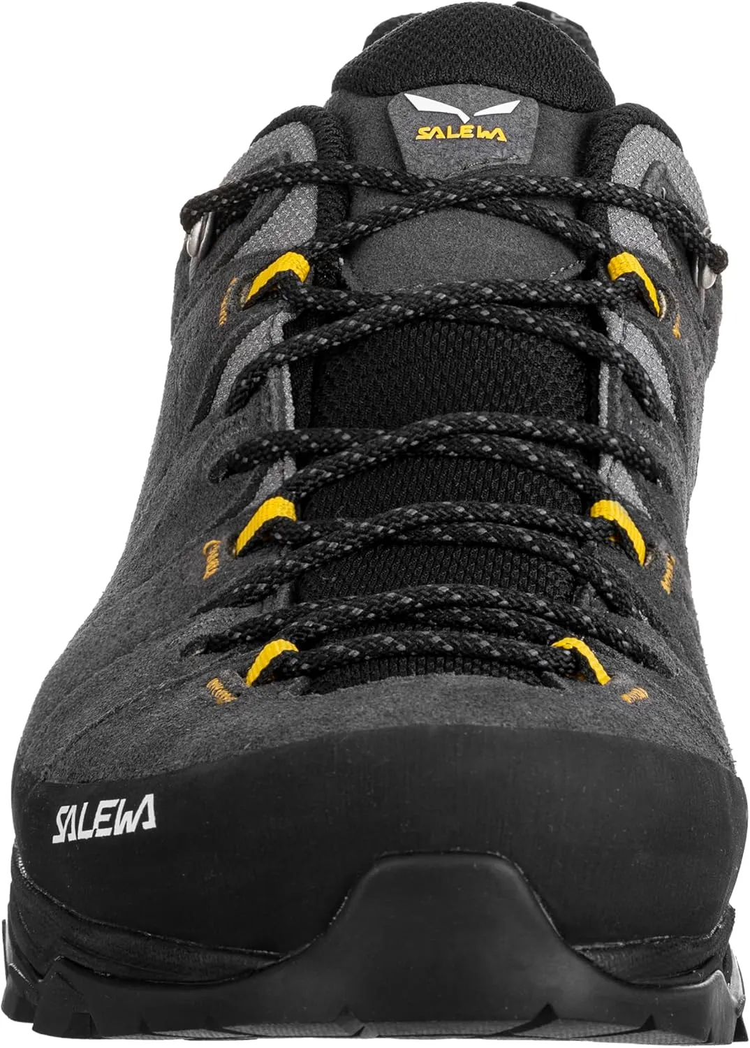 Salewa Men's Alp Trainer 2 Gore-Tex Waterproof GTX Hiking Shoe