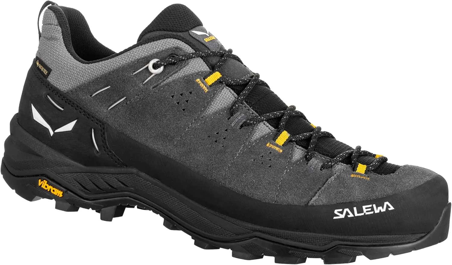 Salewa Men's Alp Trainer 2 Gore-Tex Waterproof GTX Hiking Shoe