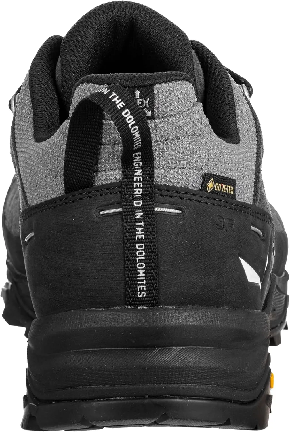 Salewa Men's Alp Trainer 2 Gore-Tex Waterproof GTX Hiking Shoe