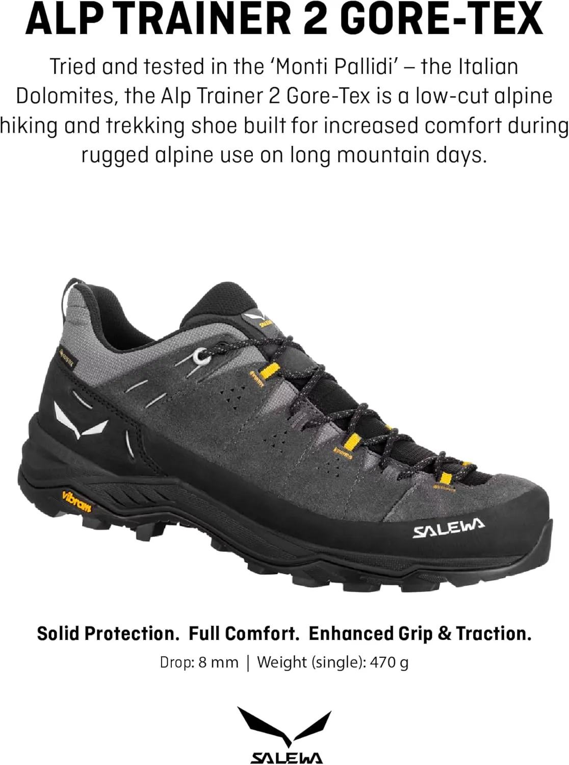 Salewa Men's Alp Trainer 2 Gore-Tex Waterproof GTX Hiking Shoe
